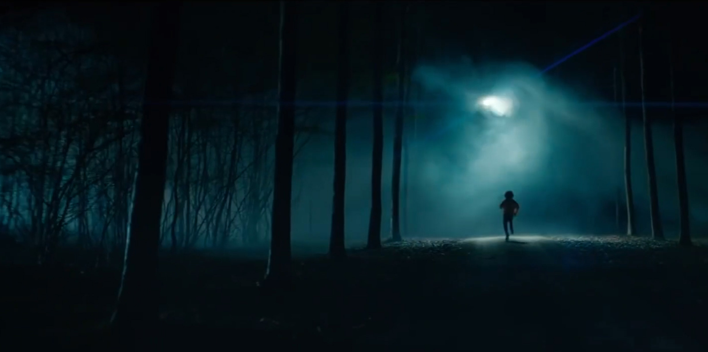 Clip Rilès foret dans la pénombre 