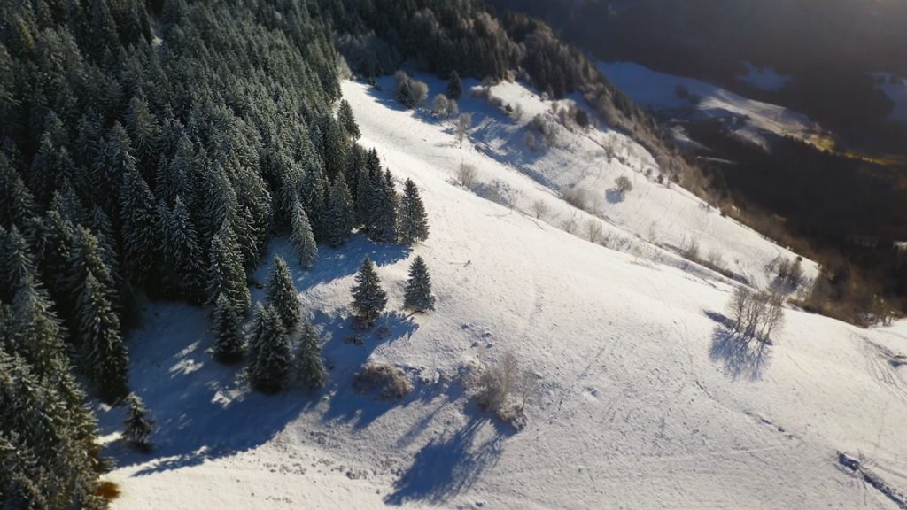 Plan drone Mavic 2 pro 