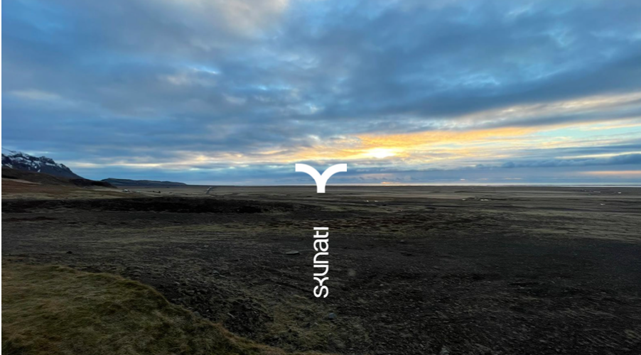 SKUNATI_Illustration_Drone